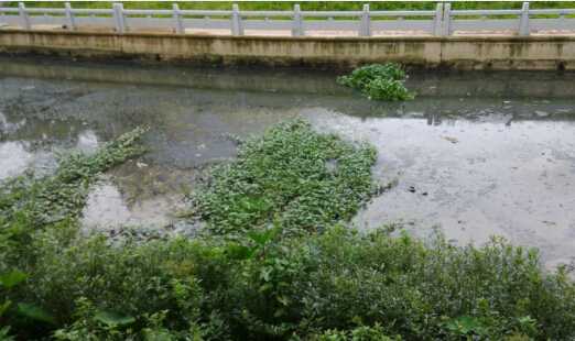 [廣東]河道清淤8寸立式泥漿泵，砂泵廠家直供